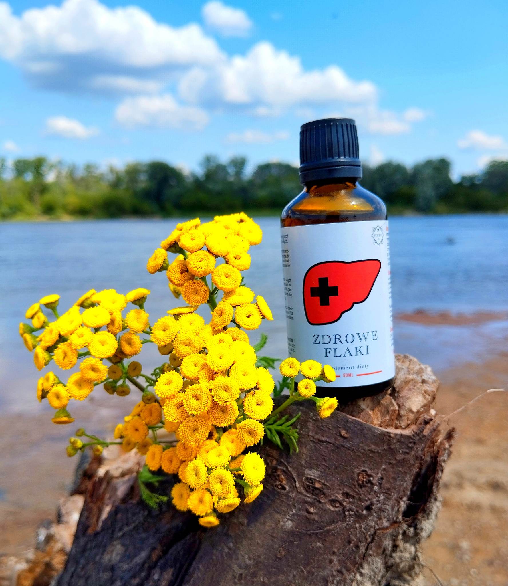 361164179_175645952178116_5399784001290680624_n